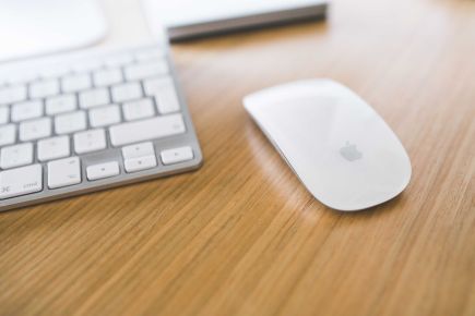 Gestão de projetos: nada funciona sem o cliente
